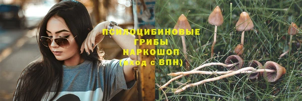 соль курить ск Заволжье