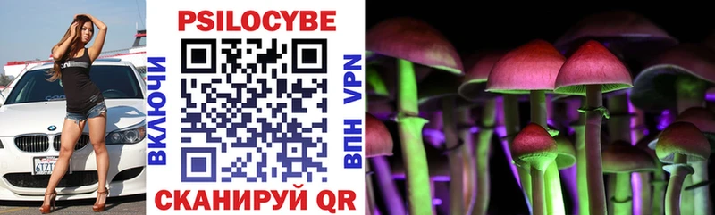 Купить  Егорьевск  Псилоцибиновые грибы Psilocybine cubensis 